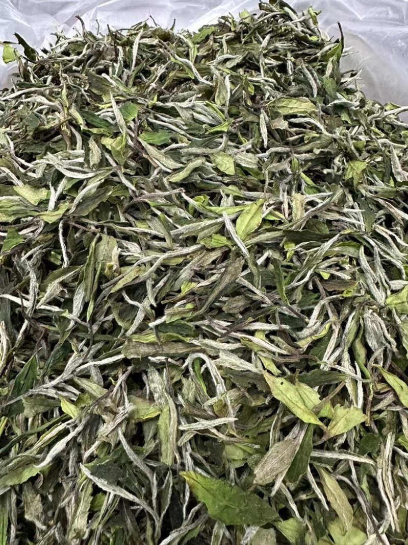 2024年福鼎的白茶白牡丹明前日晒白茶散装批茶叶白牡丹