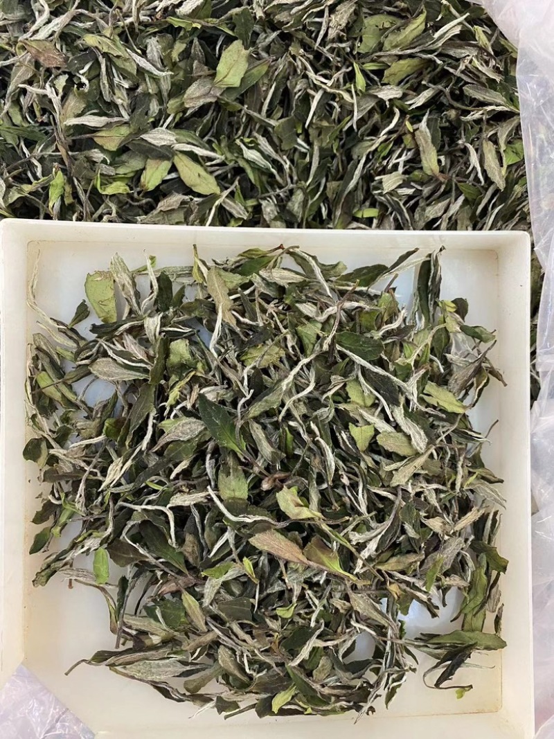 2024年福鼎的白茶白牡丹明前日晒白茶散装批茶叶白牡丹