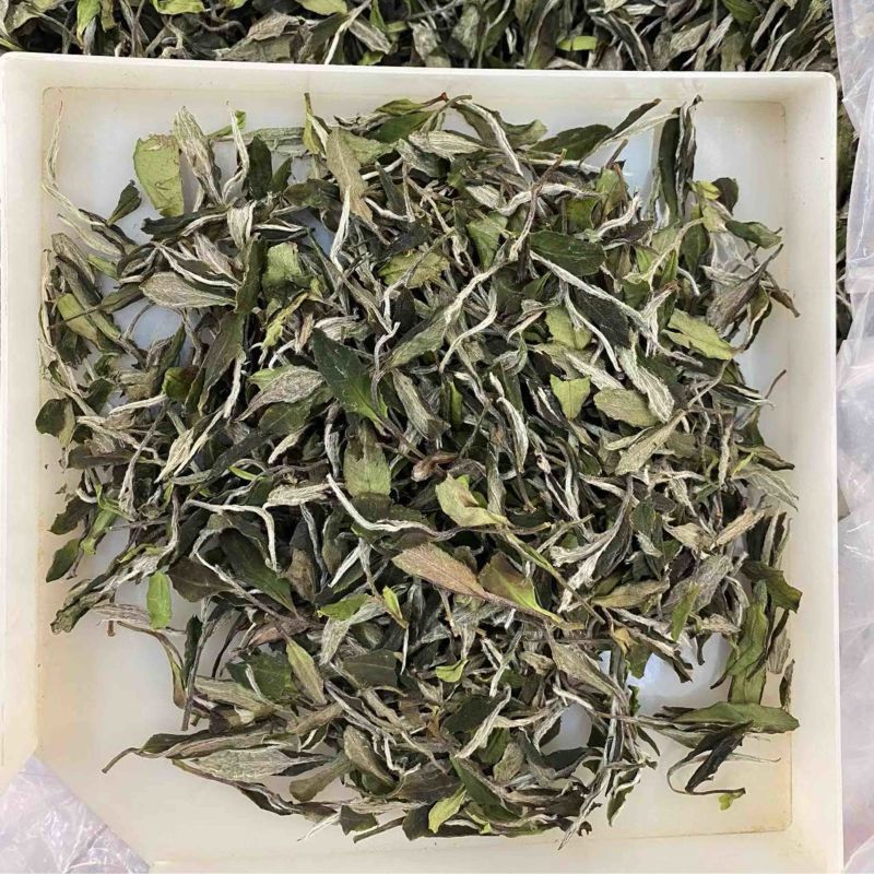 2024年福鼎的白茶白牡丹明前日晒白茶散装批茶叶白牡丹