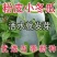 一串铃，大胖，粉宝冬瓜