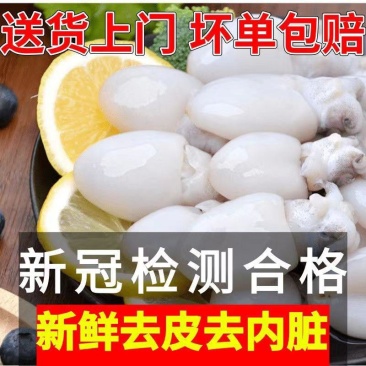 新鲜小墨鱼仔海捕鲜活冷冻小乌贼章鱼仔海鲜速冻花枝墨斗鱼小