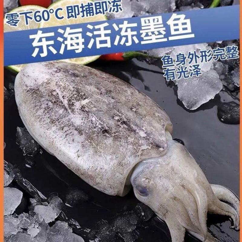 新鲜冷冻大墨鱼海捕墨鱼仔大目鱼墨鱼墨斗鱼乌贼海鲜批发