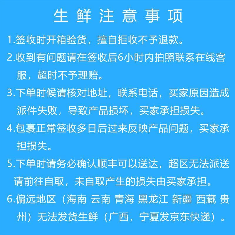 新鲜大墨鱼海捕墨鱼仔大号冷冻水产海鲜大乌贼目鱼墨斗