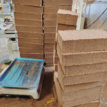 沭阳龙华园艺专业国产椰砖生产厂家，品种450克，550克