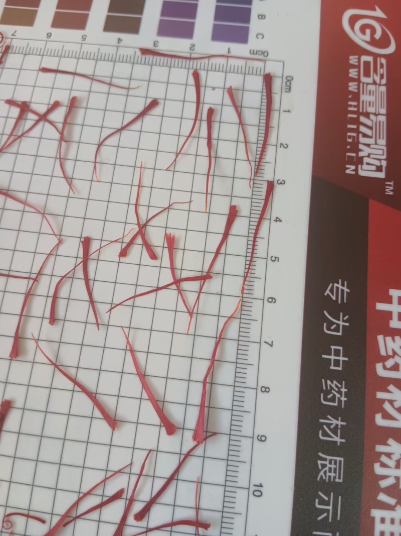 藏红花伊朗长丝选货10克起包邮量大从优欢迎选购