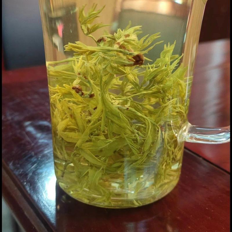 早春藤芽