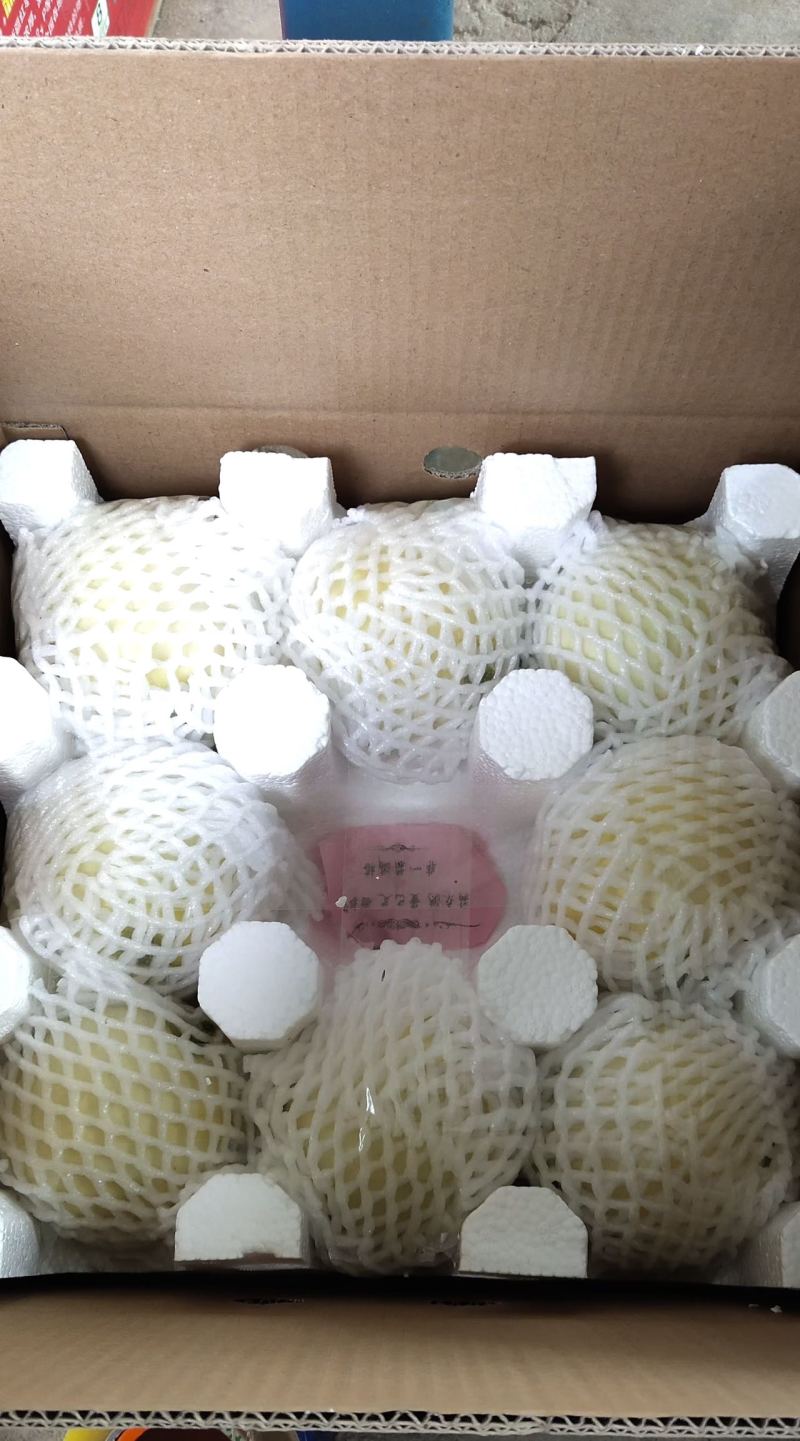星甜20小蜜罐甜瓜一件代发包邮品质稳定产地直发价格优势