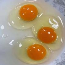 土鸡蛋农三双色绿壳蛋