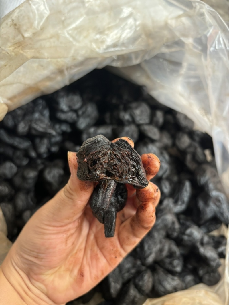 黄精九蒸九晒黄精古法炮制黄精一手货源稳定