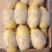荷兰十五/黄皮黄心土豆产地批发品种齐全/价格便宜全国代发