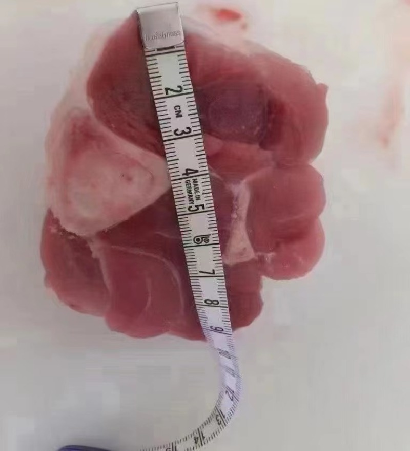 网红去皮小肘子
