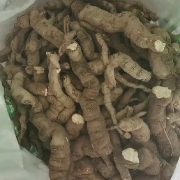 江西纯野生粉防已，大货供应商，