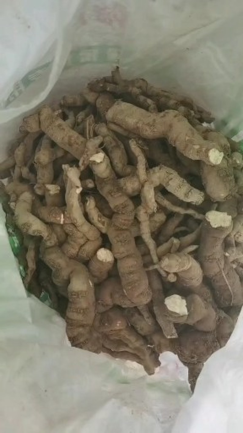 江西纯野生粉防已，大货供应商，