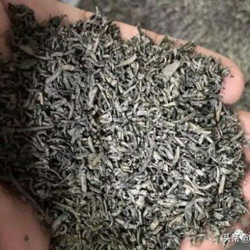 本地坪上炒茶