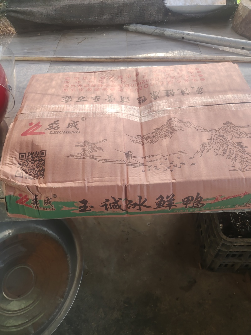 白条鸭