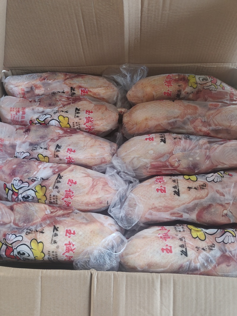 白条鸭