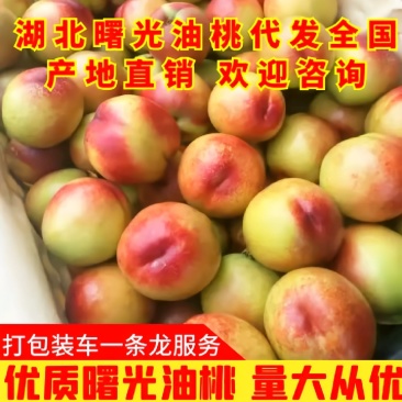 湖北桃曙光油桃，黄心油桃，金帅油桃，大量上市，价格美丽