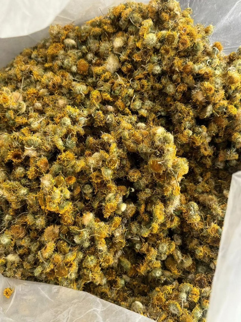 旋复花实拍正品旋复花旋覆花现货当天发货干净