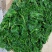 速冻野生黄须菜黄荆菜碱蓬菜2025新货