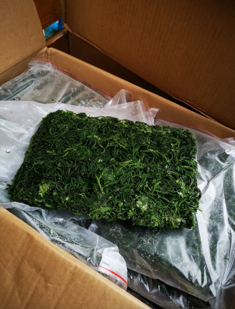 速冻野生黄须菜黄荆菜碱蓬菜2025新货