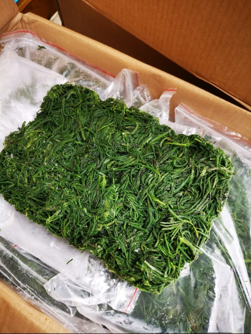 速冻野生黄须菜黄荆菜碱蓬菜2025新货