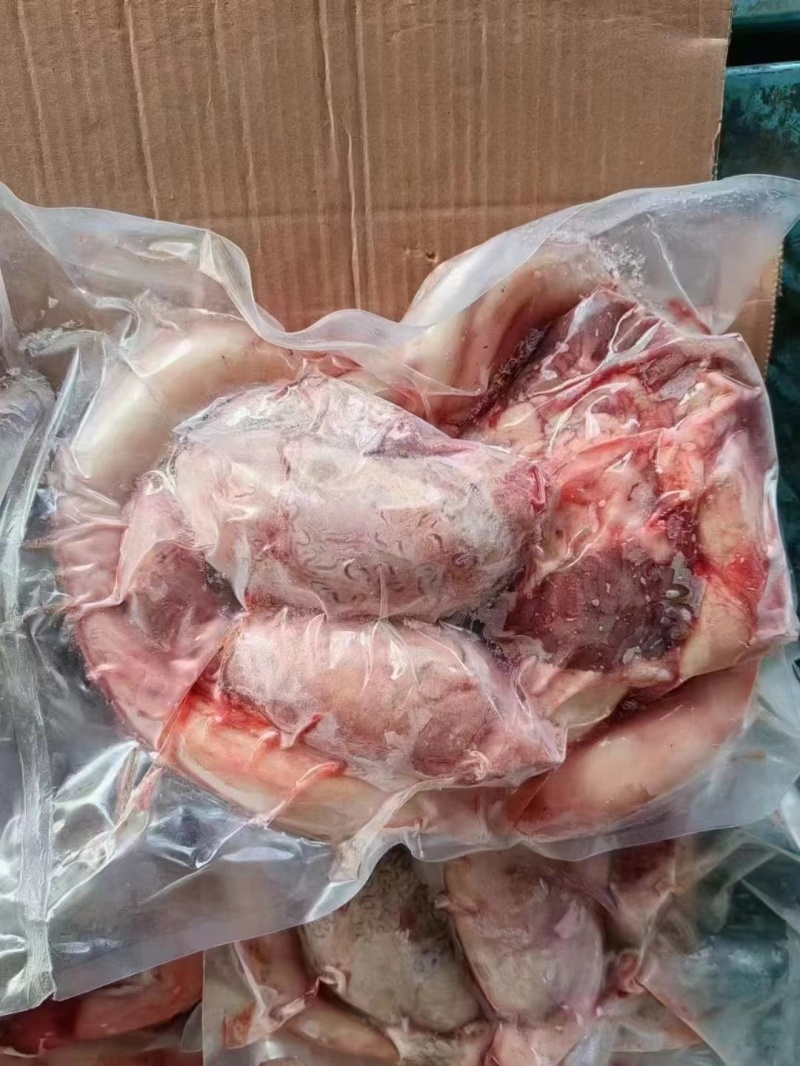 国产牛鞭宝，精油无油，个头均匀，全国冷链均可发货