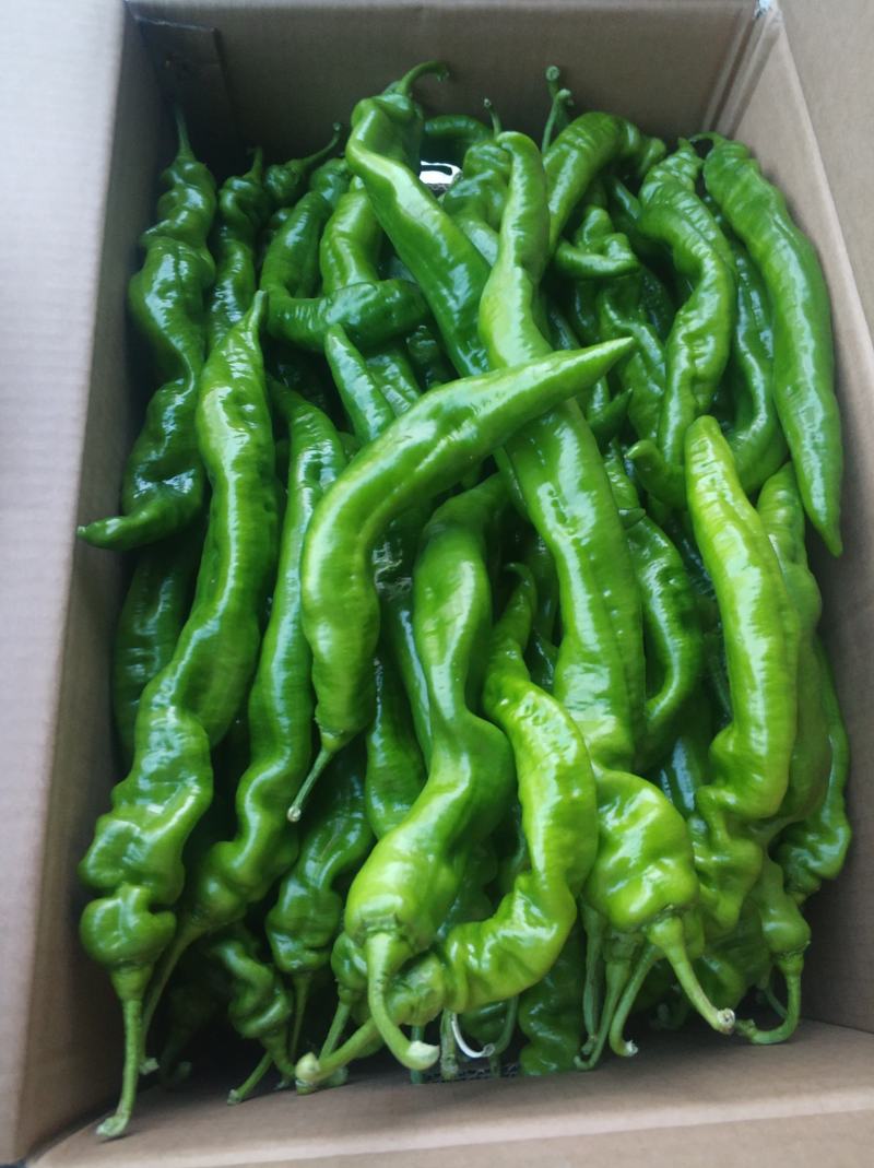 螺丝椒