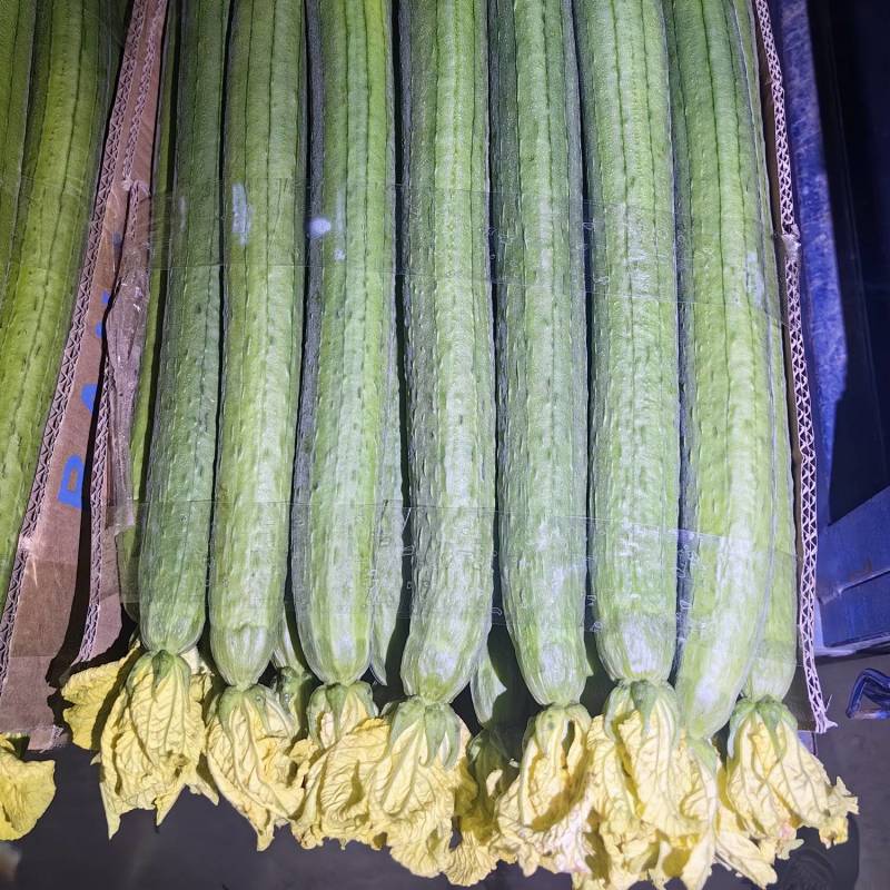 鲜花丝瓜