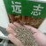 精选远志种籽新远志种子春秋四季种植抗旱抗寒中药材黄芩柴胡
