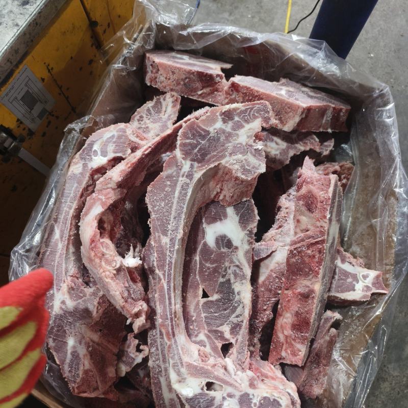 母猪肋排条