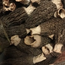 羊肚菌专卖店