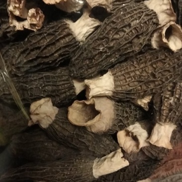 羊肚菌专卖店