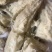 商薯19软糯香甜一手货源可视频看货欢迎选购