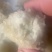 商薯19软糯香甜一手货源可视频看货欢迎选购