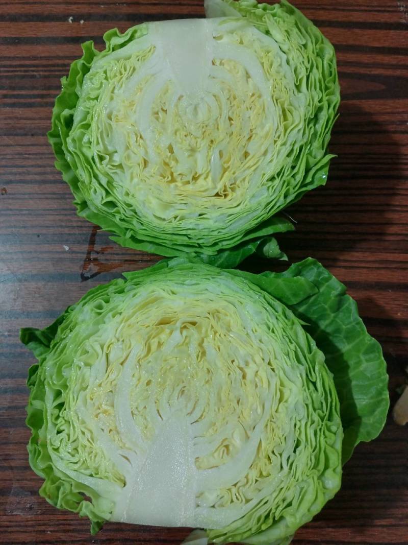 玉田甘蓝大量上市