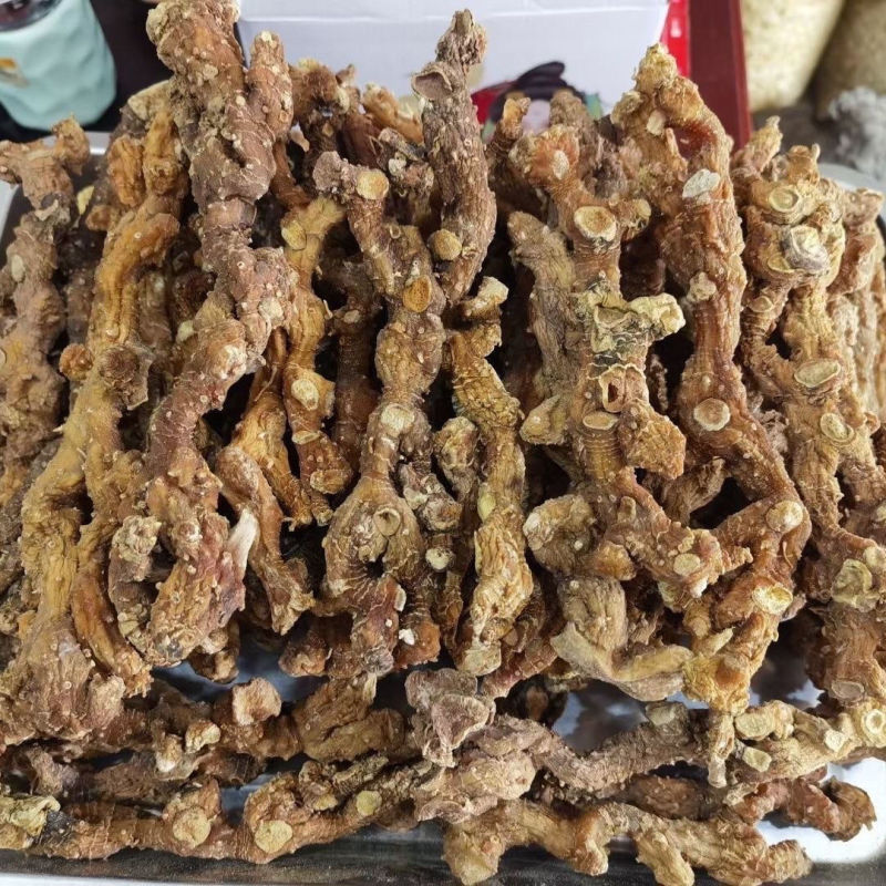 【精选】野生黄精，鲜货产地批发，品质保证量大从优