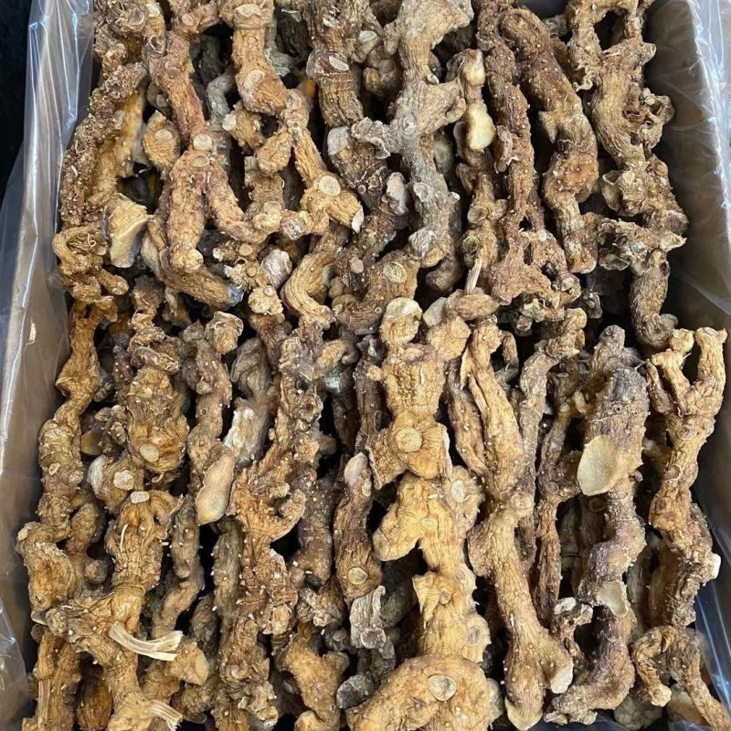 【精选】野生黄精，鲜货产地批发，品质保证量大从优