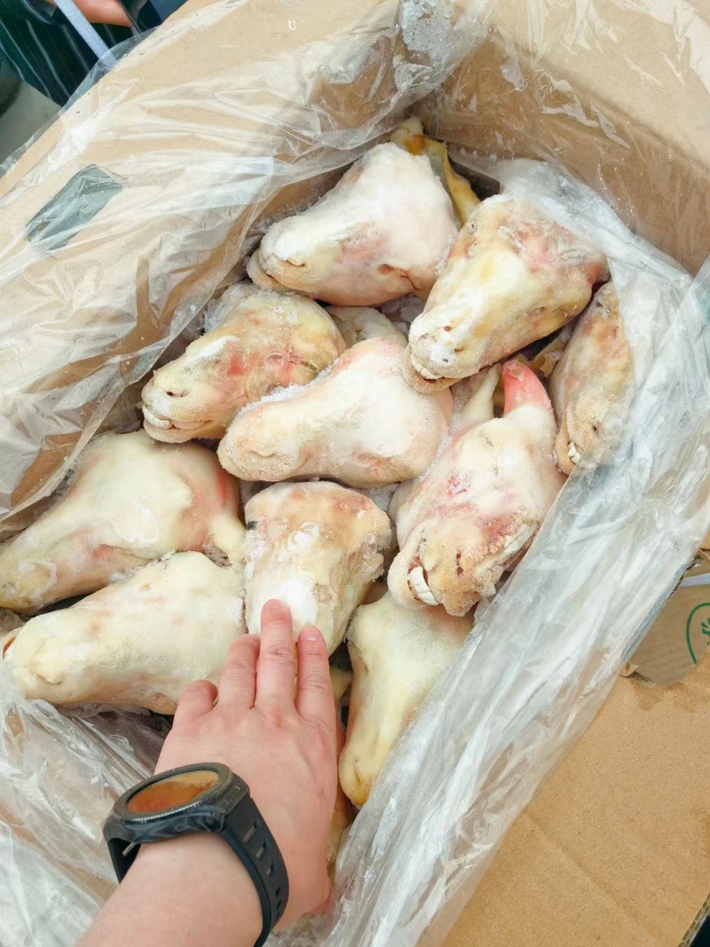 羊头，纯白，水退，火烧，处理干净，无毛，眼睛口条耳朵都在