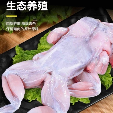 牛蛙鲜活冷冻新鲜特大全蛙肉
