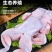 牛蛙鲜活冷冻新鲜特大全蛙肉
