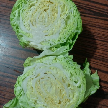 玉田甘蓝大量上市