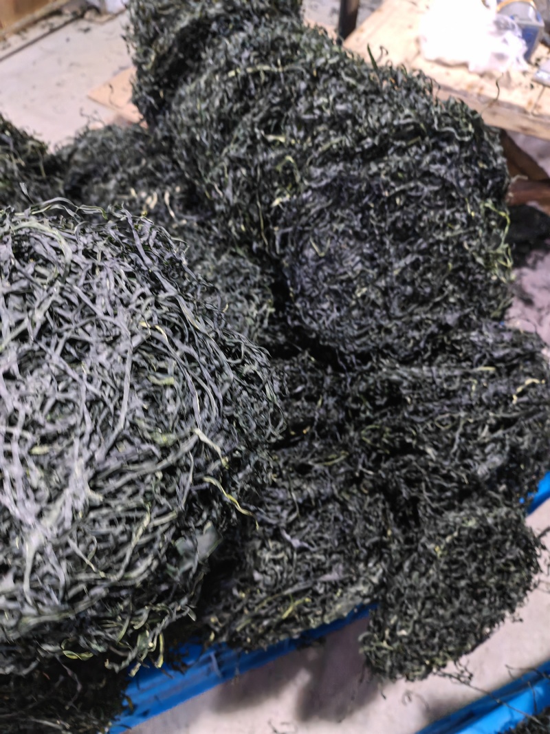 水洗烘干圆饼丝