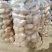 精品黄心土豆大量上市品质保证一手货源量大从优
