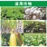管功高效氯氟氰菊酯蔬菜果树农药杀虫剂正品农药整箱批发