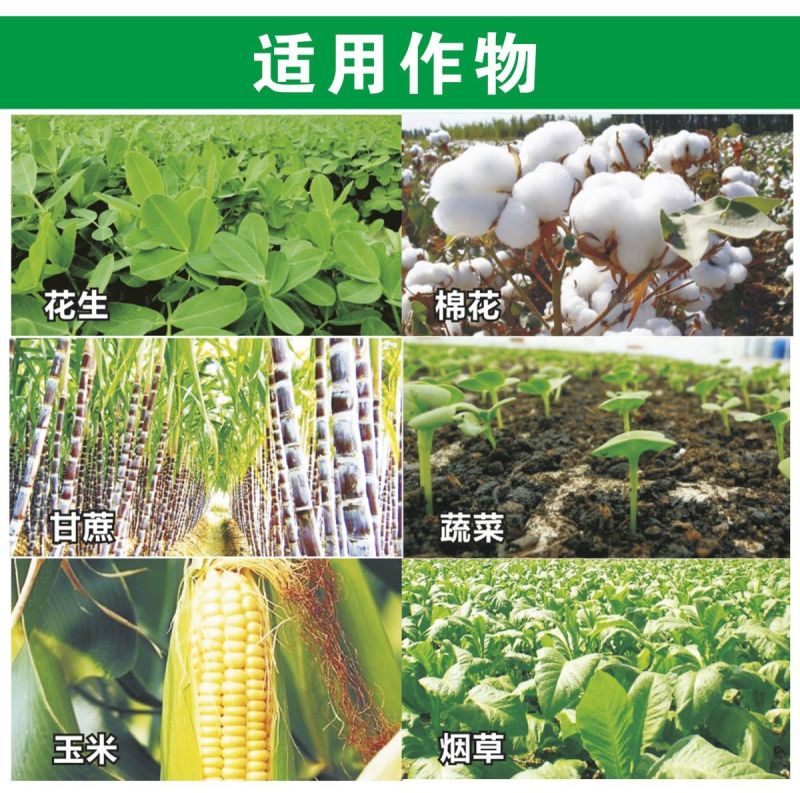 管功高效氯氟氰菊酯蔬菜果树农药杀虫剂正品农药整箱批发