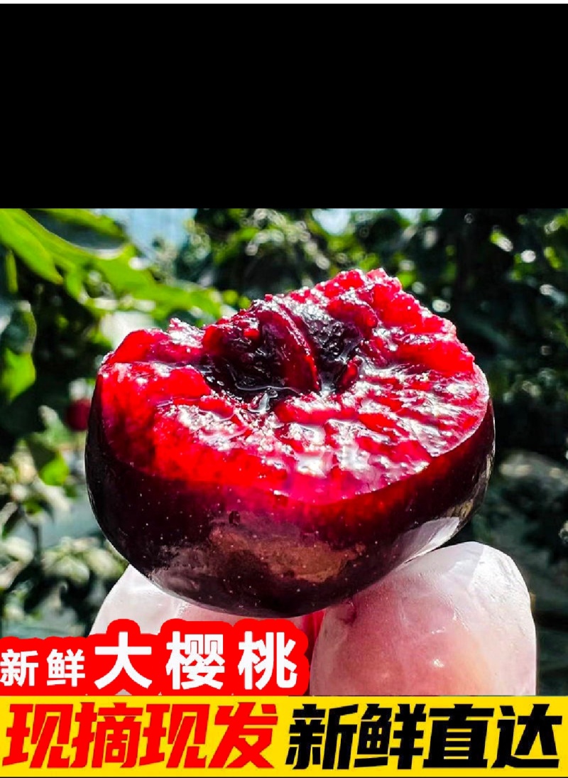 新鲜樱桃~抖音~快手~直供~一件代发~对接各大电商平台