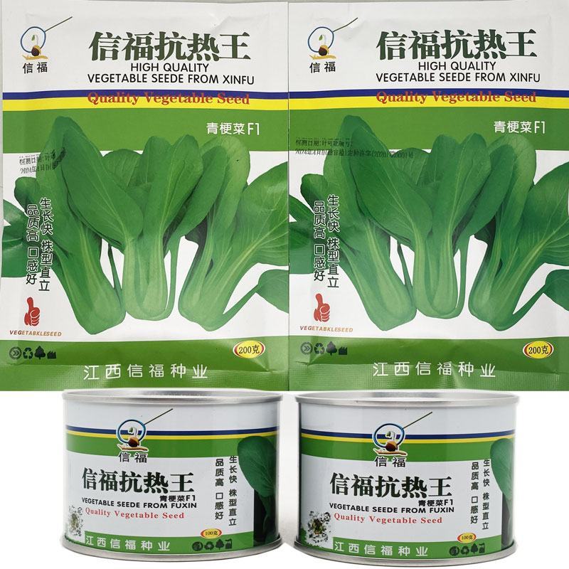 信福抗热王耐热青梗菜种子不拔节梗绿上海青种子原装发货