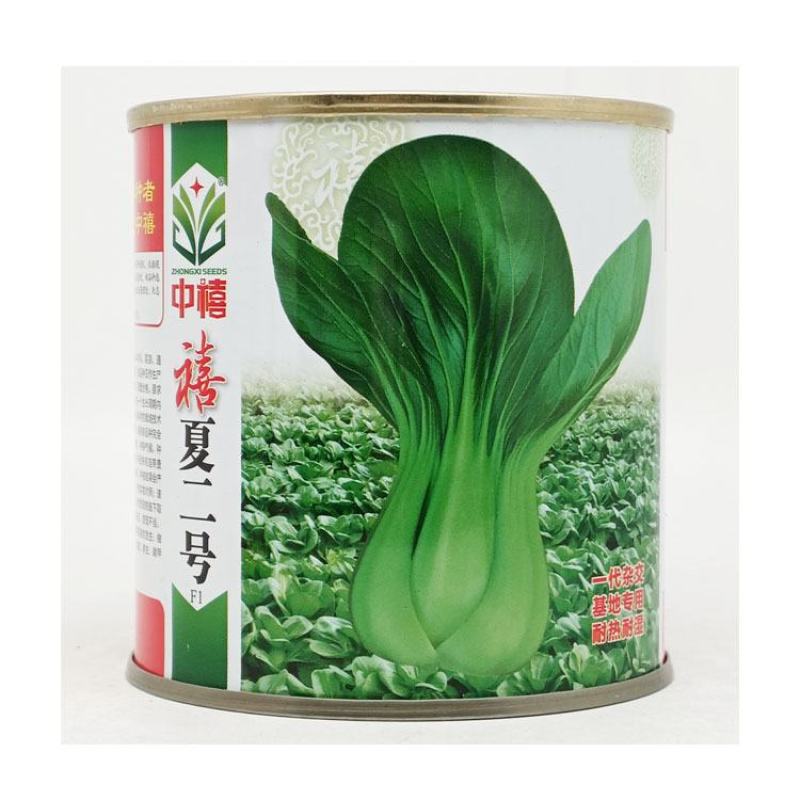 信福抗热王耐热青梗菜种子不拔节梗绿上海青种子原装发货