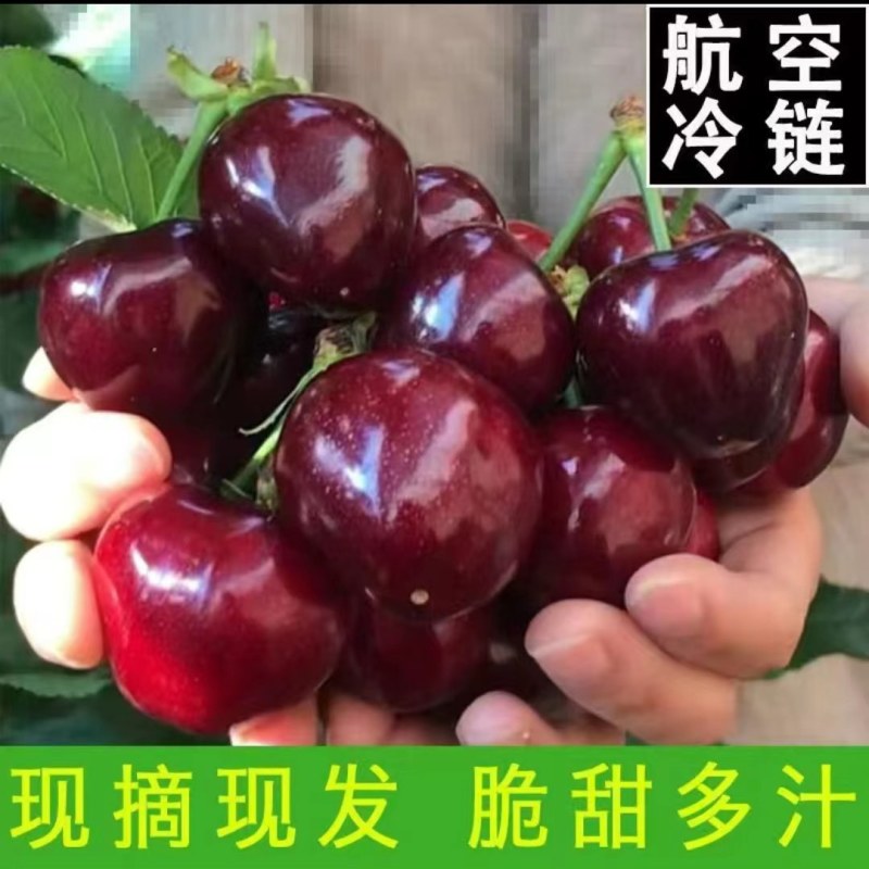 一件代发～抖音～快手～拼多多～山东樱桃，对接各大电商平台