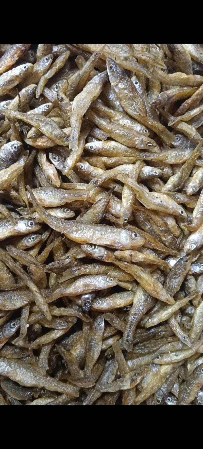 鱼干大沂河小鱼干锅烤鱼鱼仔，可视频看货